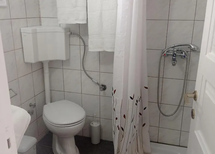 Alexandros & Guest house